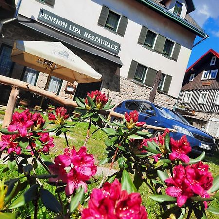 Pension Lípa Horní Maršov Exterior foto
