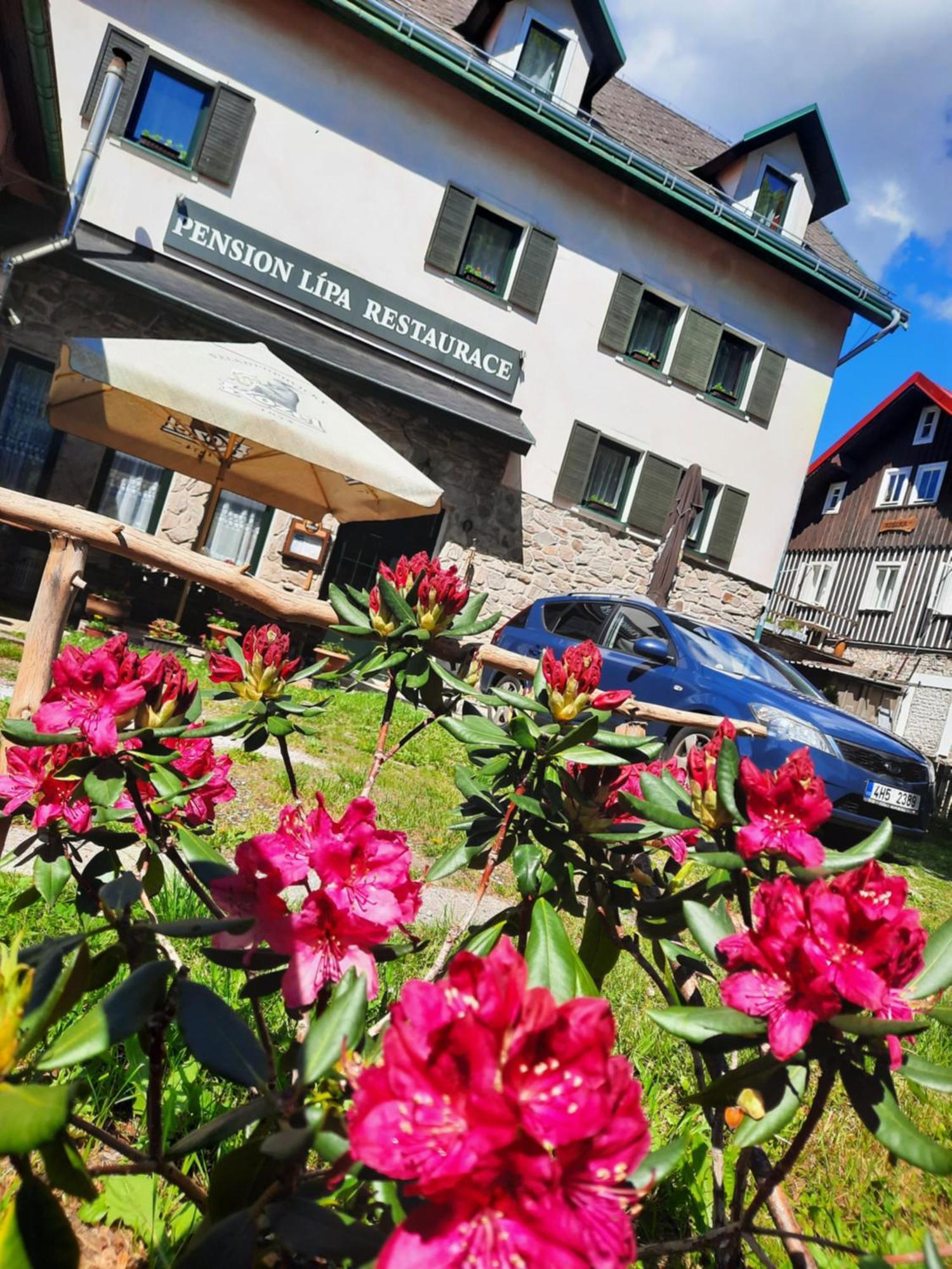 Pension Lípa Horní Maršov Exterior foto
